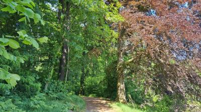 Foto Der Kreislauf der Natur