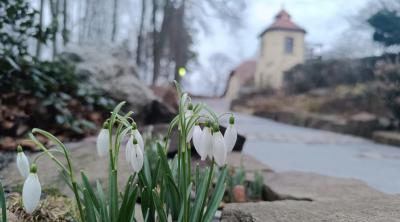 Foto Der Kreislauf der Natur