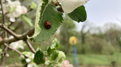 Foto Der Kreislauf der Natur