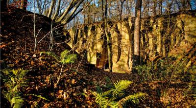 Foto Geologie-Tour durch den Park zum "Tag des Wassers"