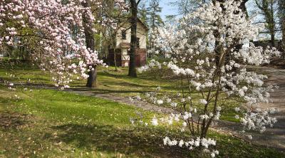 Foto Der Kreislauf der Natur